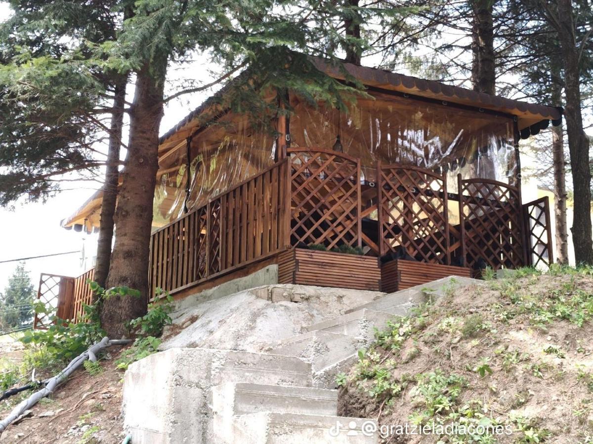Вилла Sezatoarea Lupilor Лепша Экстерьер фото