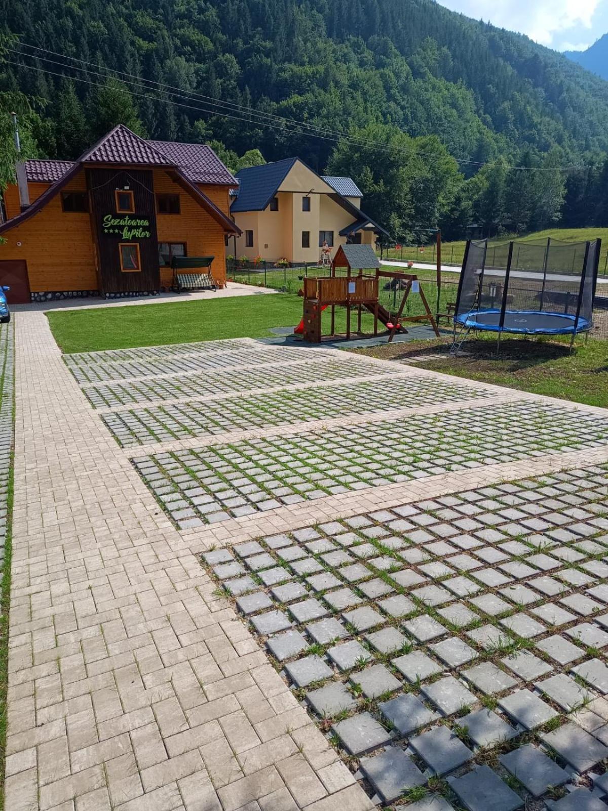 Вилла Sezatoarea Lupilor Лепша Экстерьер фото